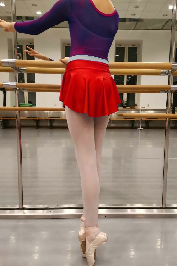 19303ros-01 19303ros-01